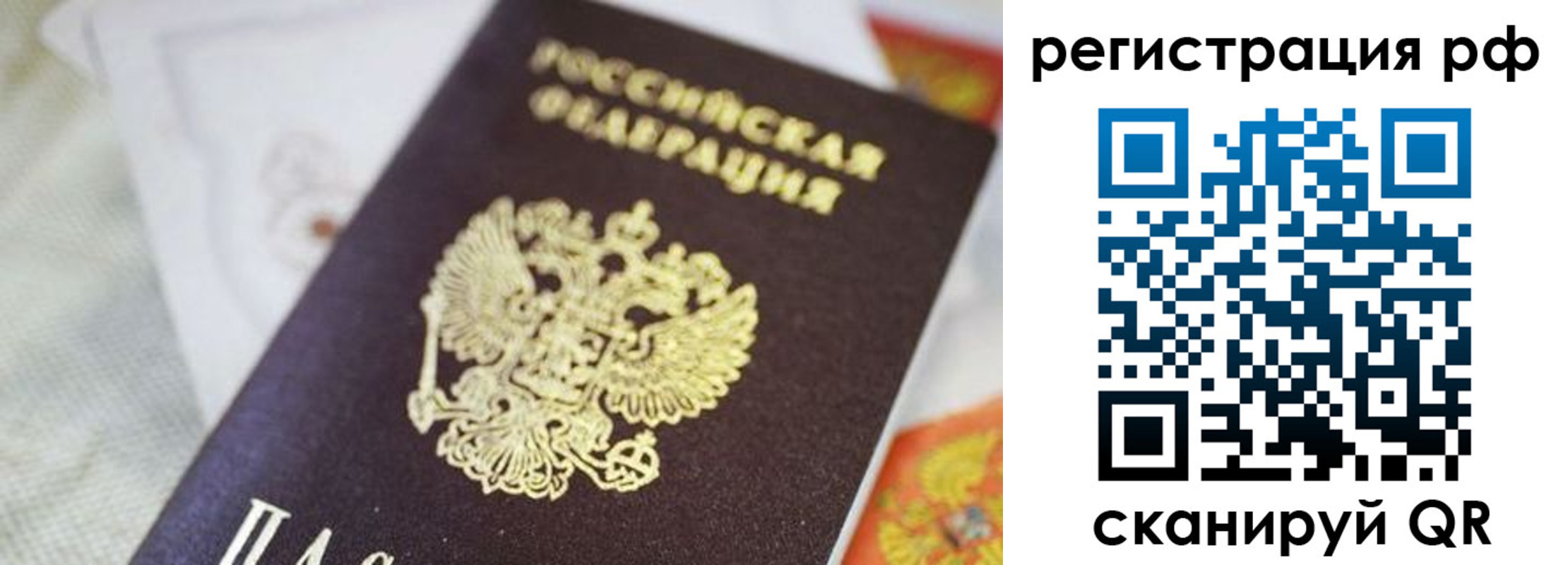 прописка гарантия в Черняховске